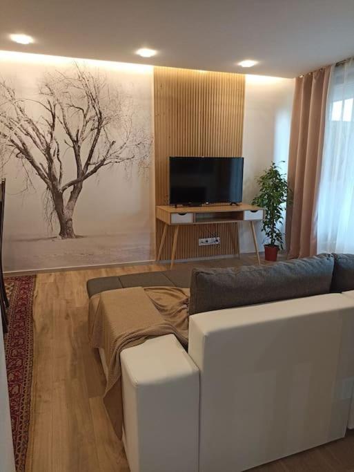 Tres Bel Appartement Rez De Jardin Appart De 53M2. Pfastatt Kültér fotó