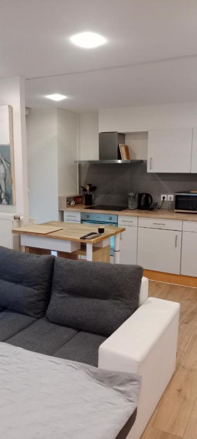 Tres Bel Appartement Rez De Jardin Appart De 53M2. Pfastatt Kültér fotó